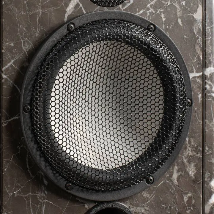 Close-up of a round speaker grill with a mesh cover.