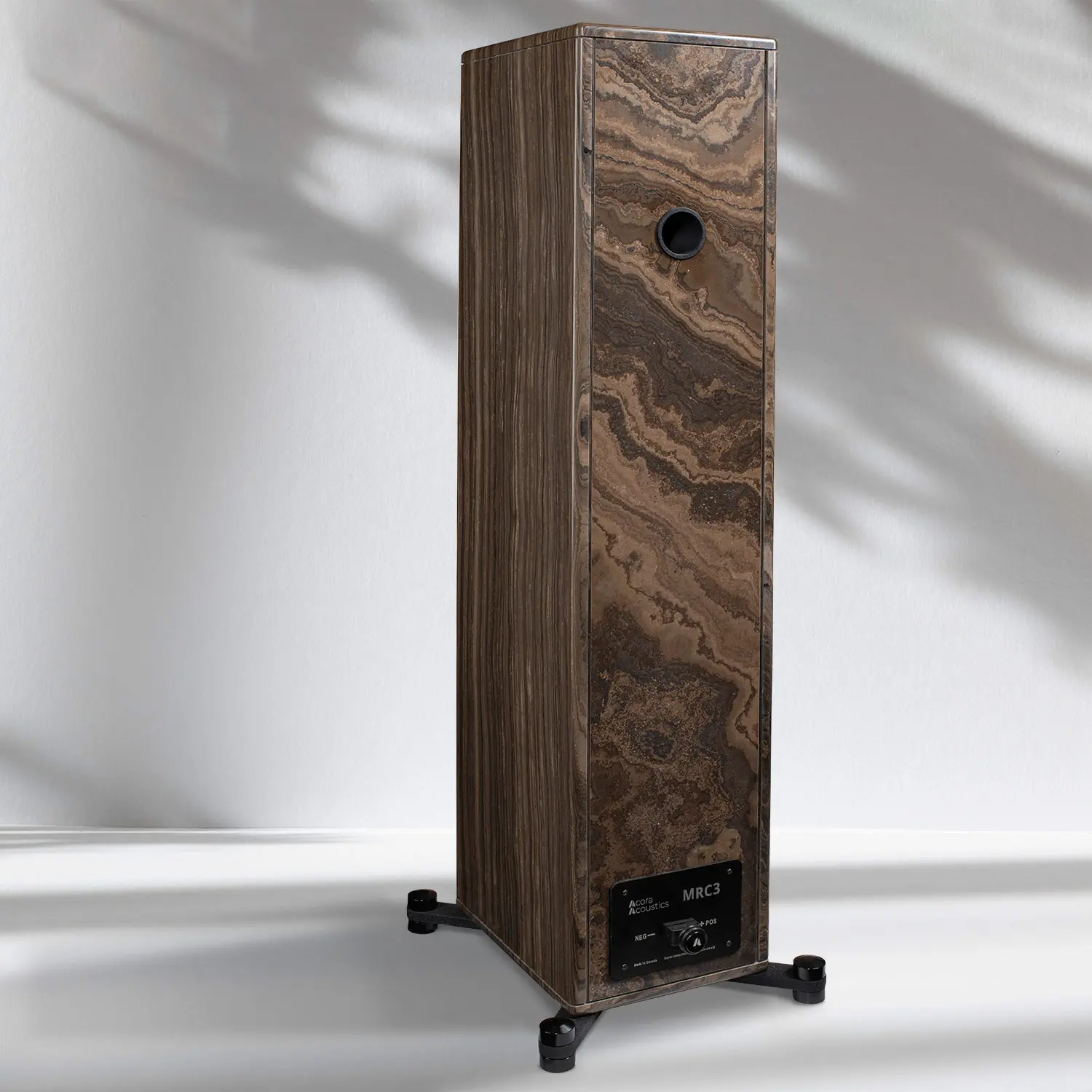 Tall speaker with wood grain finish and small tweeter at the top.