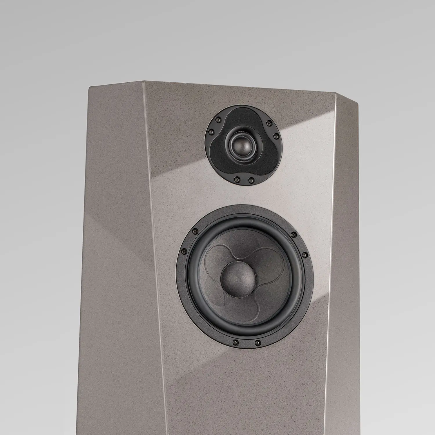 Modern gray speaker with two drivers on a plain background.