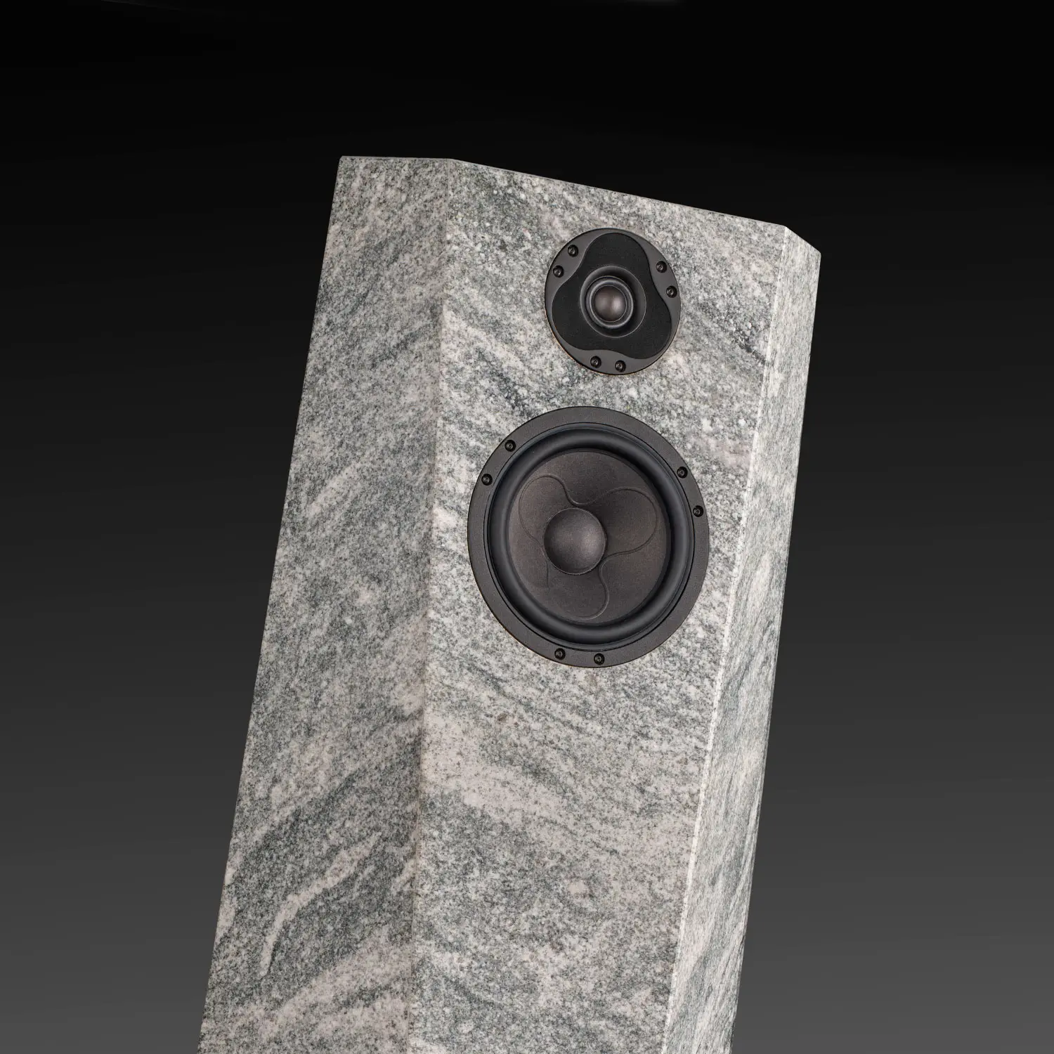 Marble-patterned speaker with two drivers on a dark background.