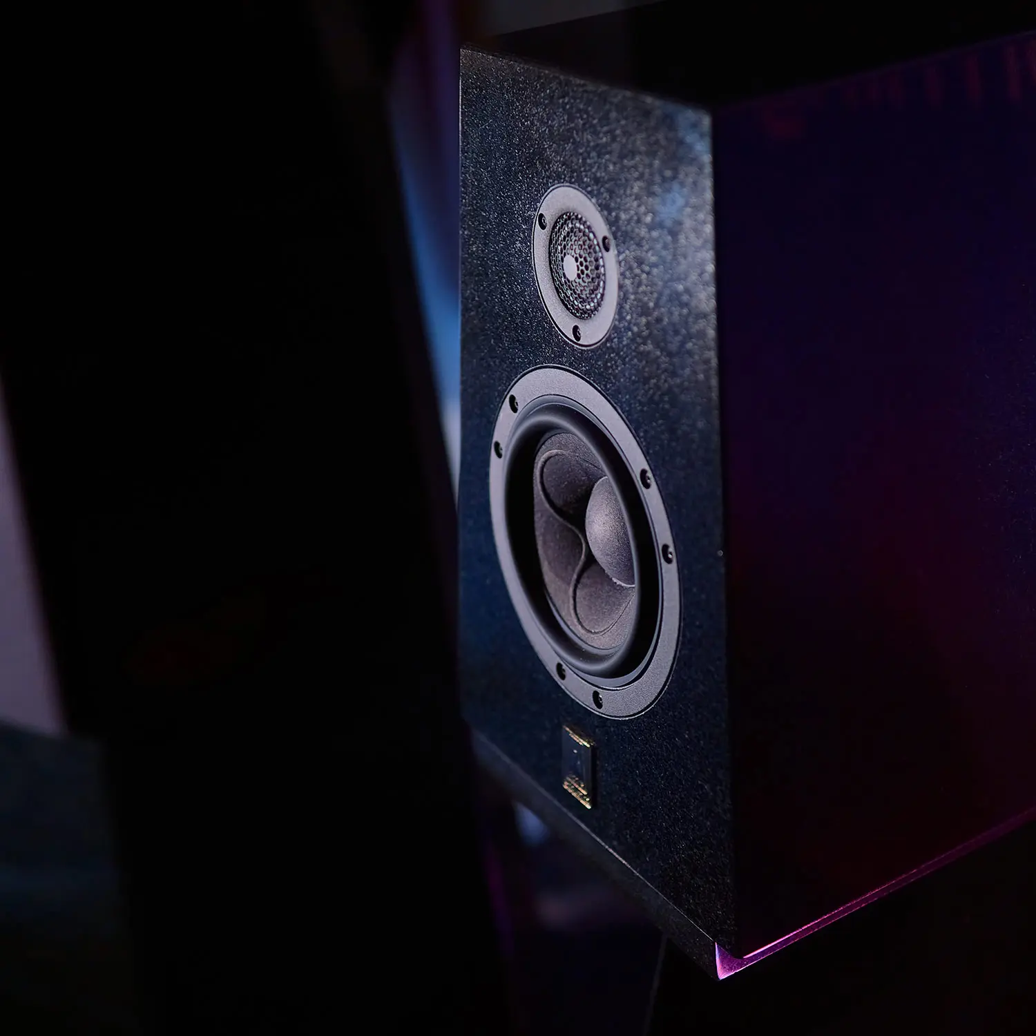 Close-up of a black speaker with a tweeter and woofer under low lighting.