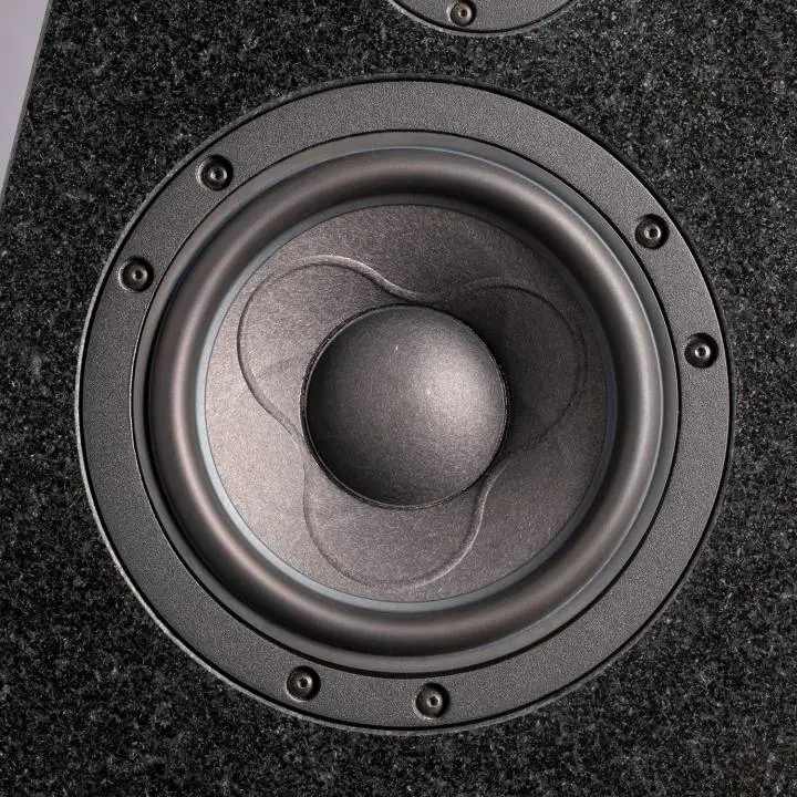 Close-up of a black speaker cone in a textured enclosure.
