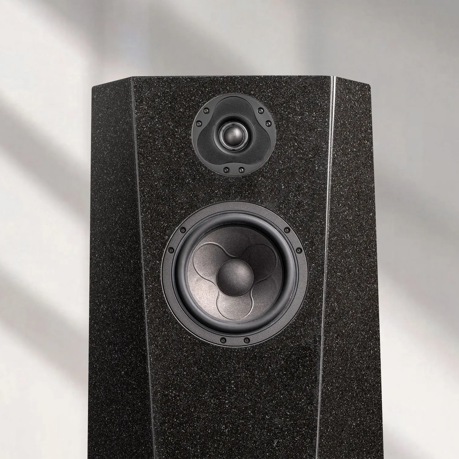 A sleek black speaker with two drivers stands against a softly lit background.