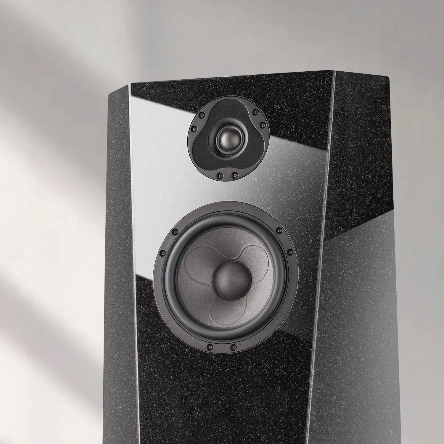 Modern black floor-standing speaker with dual drivers.