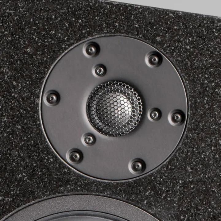 Close-up of a speaker tweeter on a textured black panel.