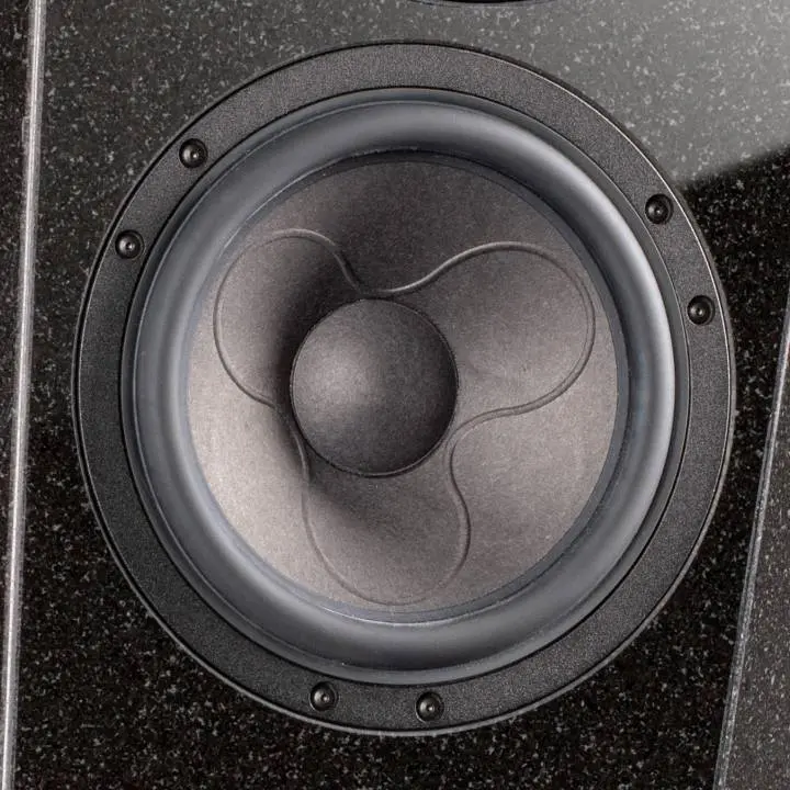 Close-up of a black speaker cone with a textured surface.