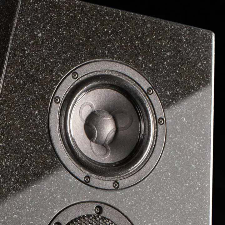 Close-up of a speaker driver on a black speaker cabinet.