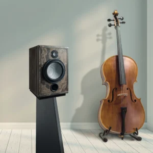 A wooden speaker and a violin standing side by side indoors.