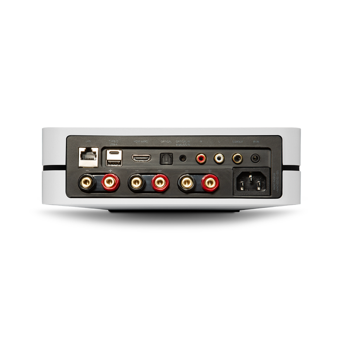 Rear view of an audio device showing various input and output ports.